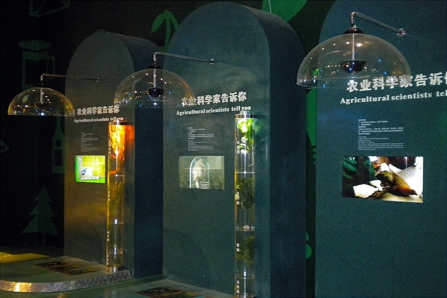 行業(yè)動態(tài)