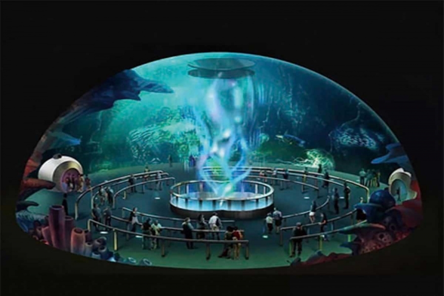 行業(yè)動(dòng)態(tài)