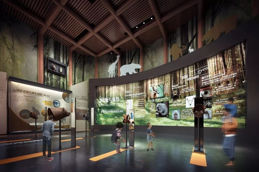 行業(yè)動態(tài)