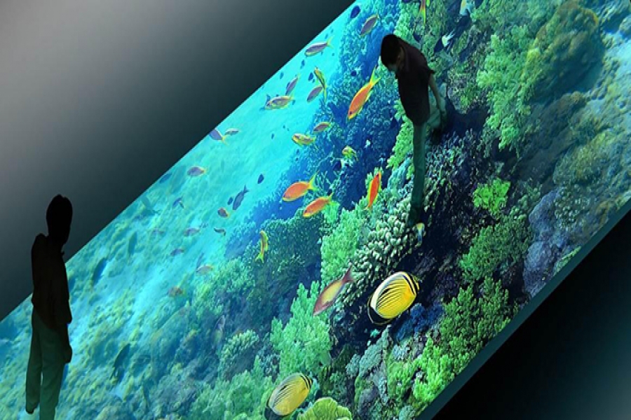 行業(yè)動(dòng)態(tài)