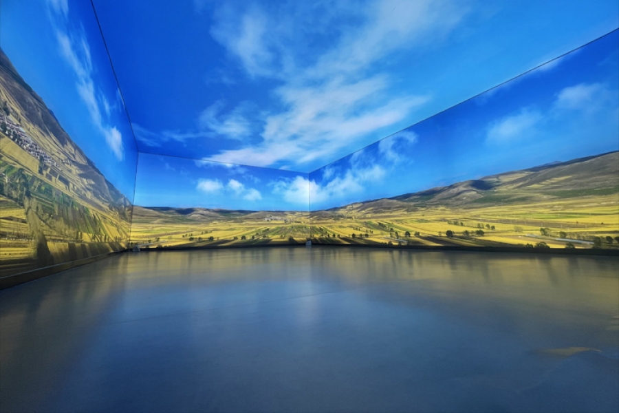 行業(yè)動態(tài)