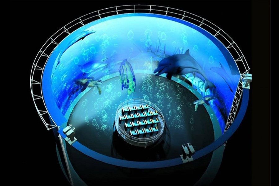 行業(yè)動態(tài)